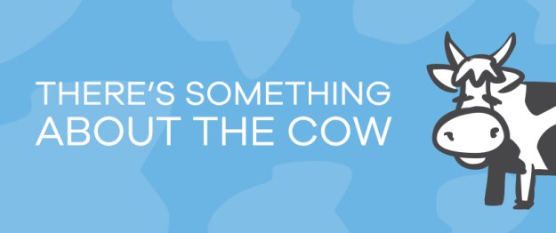 there's something about the cow header