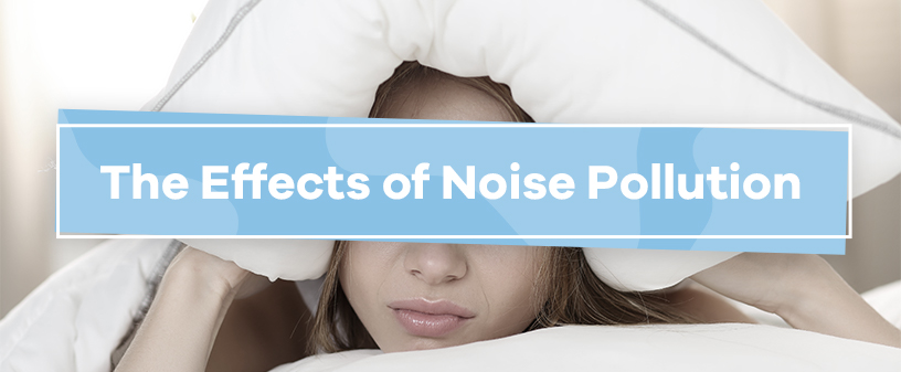 noise pollution