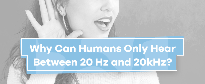 Why Can Humans Only Hear Between 20 Hz and 20kHz
