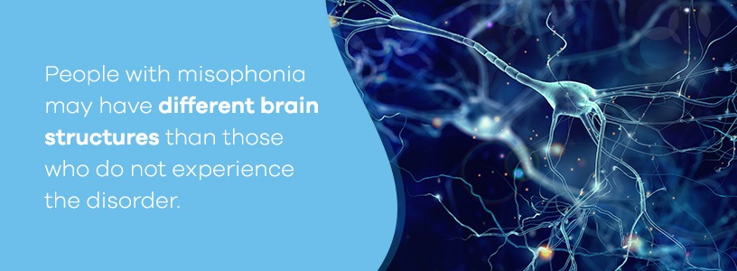 Misophonia Brain Structures