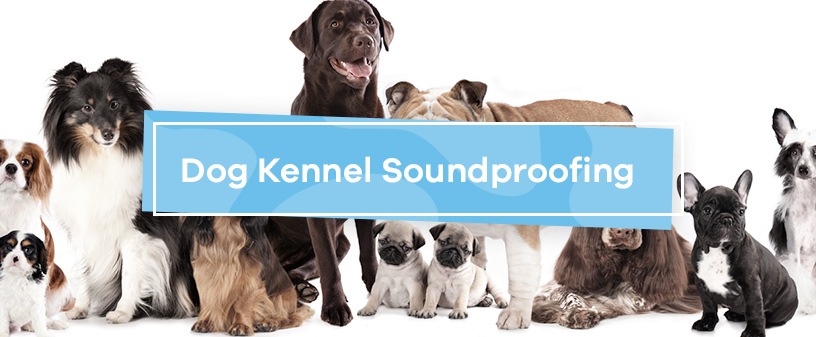 Dog Kennel Soundproofing