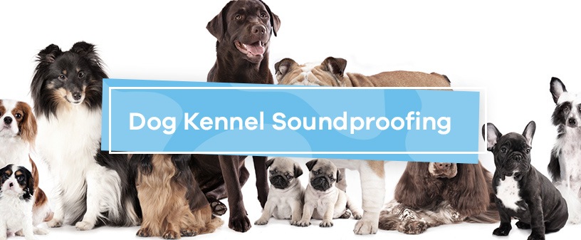 Dog Kennel Daycare Soundproofing Soundproof Cow