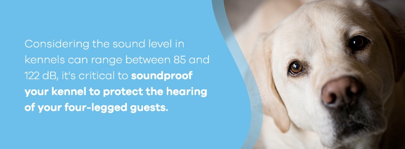 Soundproof Dog Kennels to Protect Hearing of Dogs