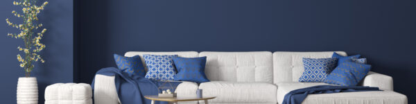 blue room with white couch