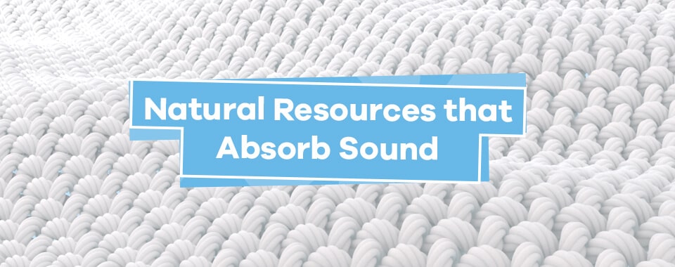 Natural Resources That Absorb Sound