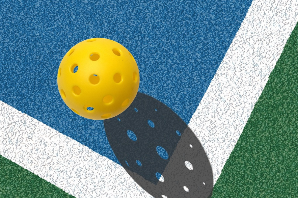 pickleball on court