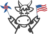 cow holding American flag