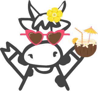 cow wearing sunglasses and holding a tropical drink